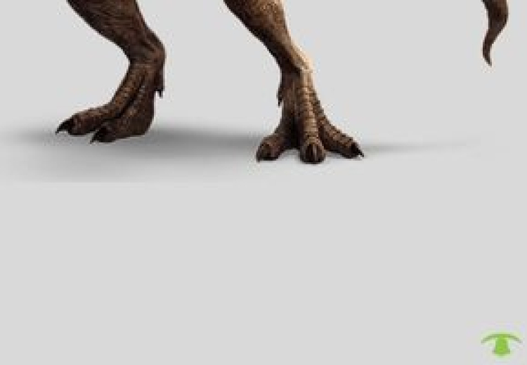 "Who wants to see his troglodytic ankles?" What in the world does this have to do with VSaaS?