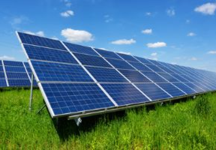 Solar Parks: Increased Environmental Sustainability